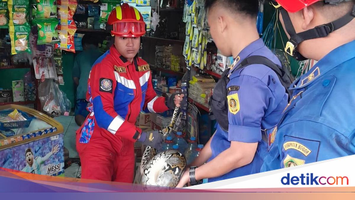 3-Meter Python Found Under Freezer at Bogor Grocery Store, Fire Department Evacuates