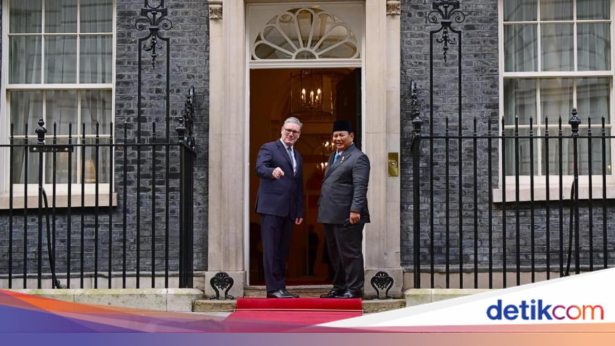 Larry, the Cat Who 'Welcomed' Prabowo in the UK, Marks Exactly 15 Years of Service Today