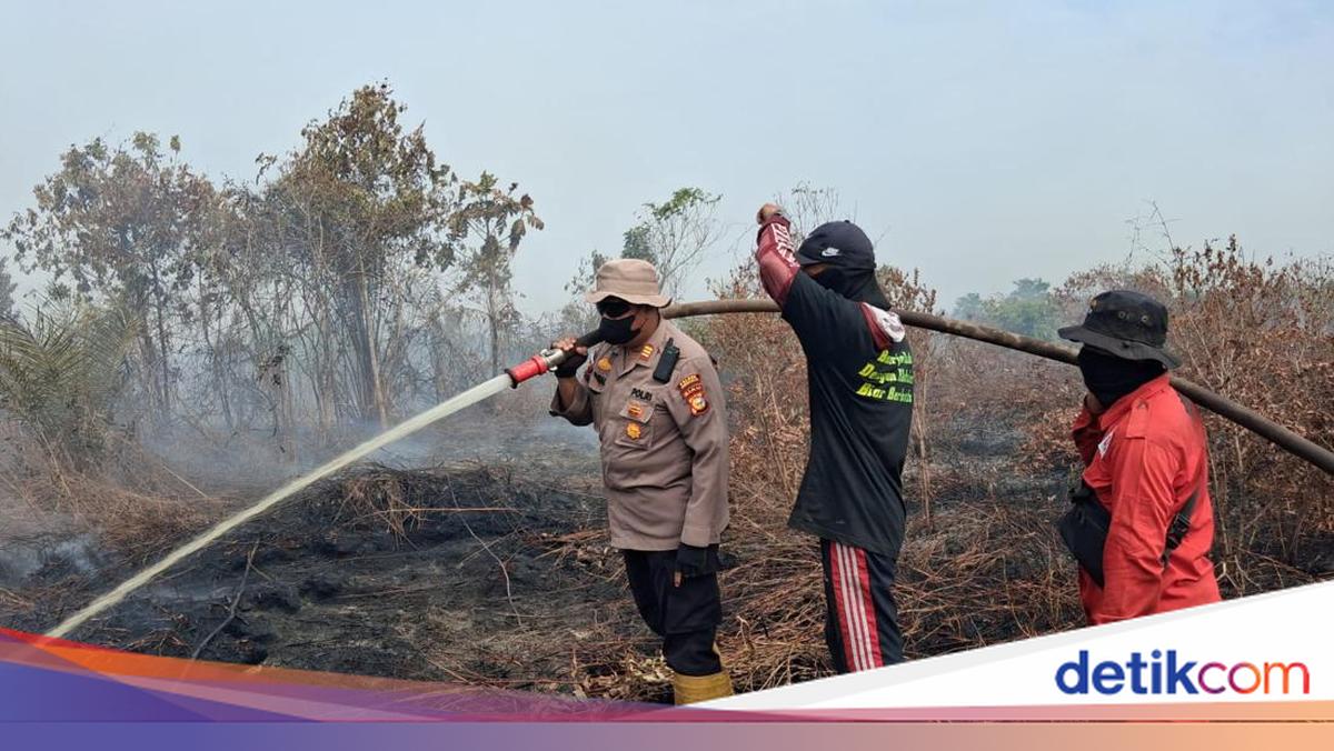 Police and Military Battle to Extinguish 10-Hectare Land Fire in Bengkalis