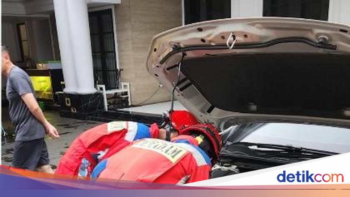 East Jakarta Resident's Albino Python Disappears, Found Hiding Under Car Hood