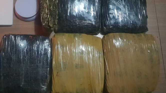 Jakarta Metro Police Arrest 3 Men Attempting to Distribute 15.5 Kg of Marijuana