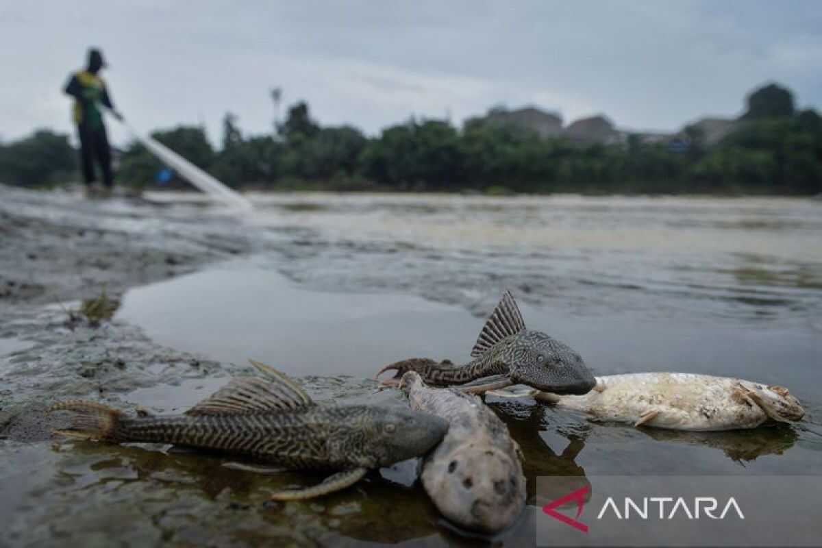 Researcher warns of health risks from chemical spill in Cisadane River