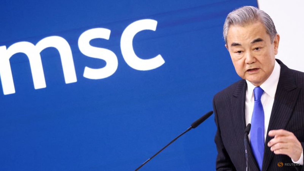 China seeks to take ties with Germany to 'new level': Wang Yi