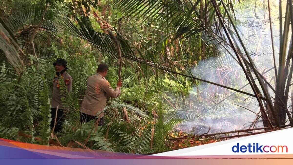 Thanks to 110 Hotline, Police, Military and Disaster Agency Swiftly Extinguish Land Fire in Riau