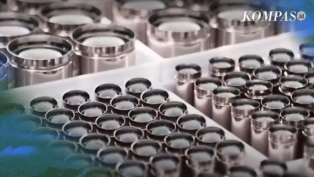 LG Energy Solution Withdraws Rp129 Trillion EV Battery Investment from Indonesia