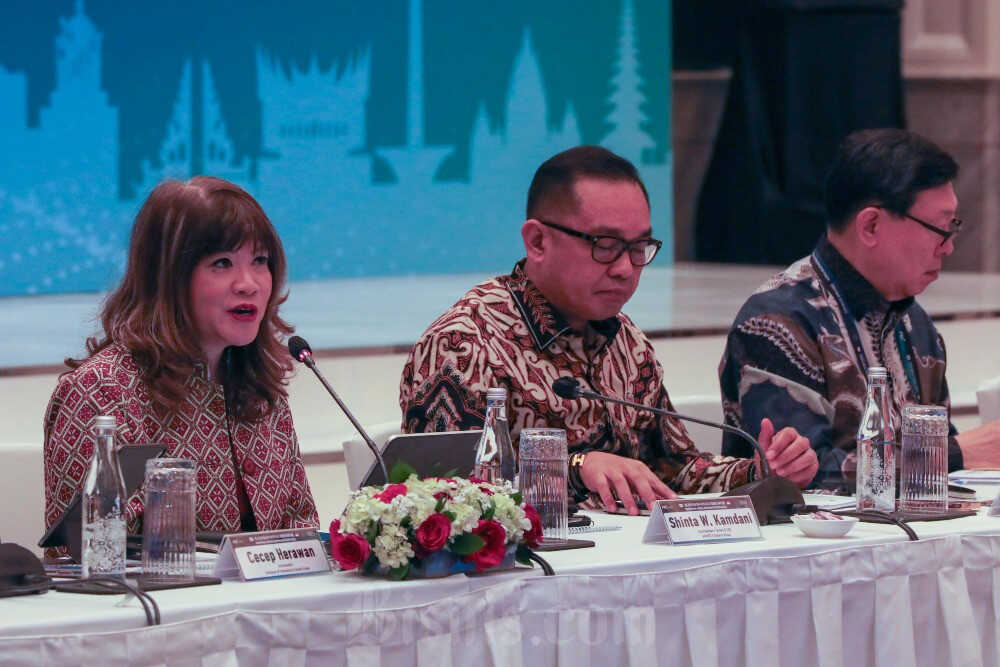 APINDO and FKI Agree to Strengthen Cooperation in Industrial Downstreaming, Renewable Energy, and Digital Economy