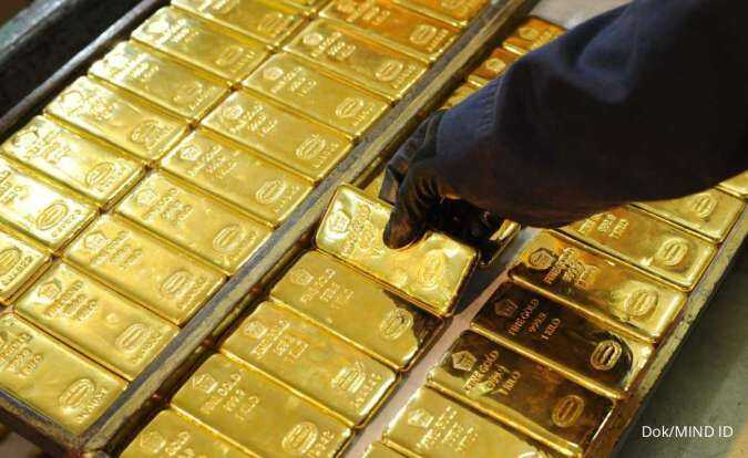 Decision on Return of Four Antam Gold Exploration Permits Rests with Investment Minister Rosan