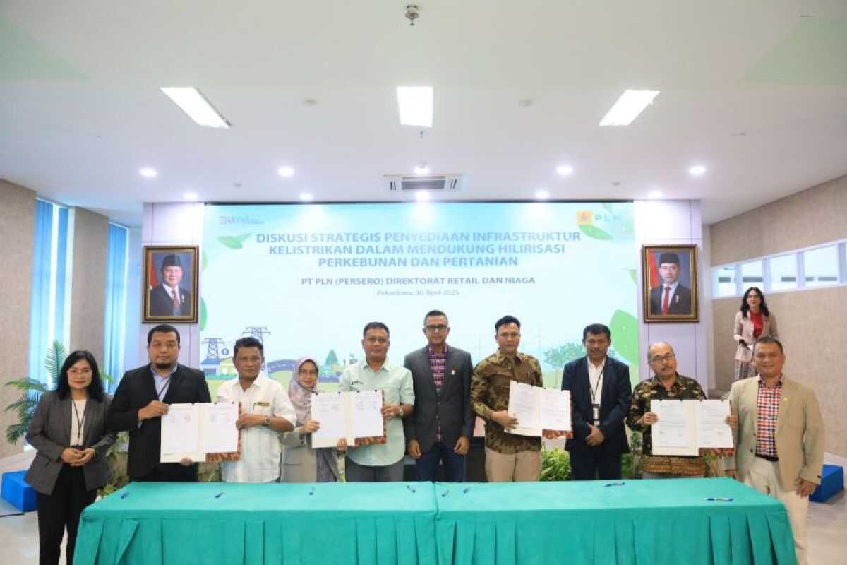 PLN West Sumatra Commits to Supporting Plantation and Agricultural Downstream Processing