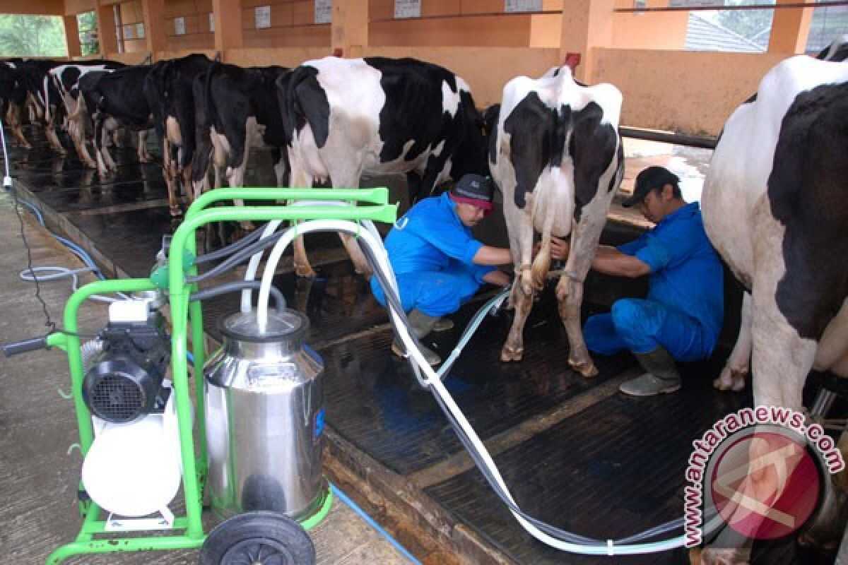 Cattle Farming Ecosystem Can Support Free Nutritious Meal Programme and Reduce Imports