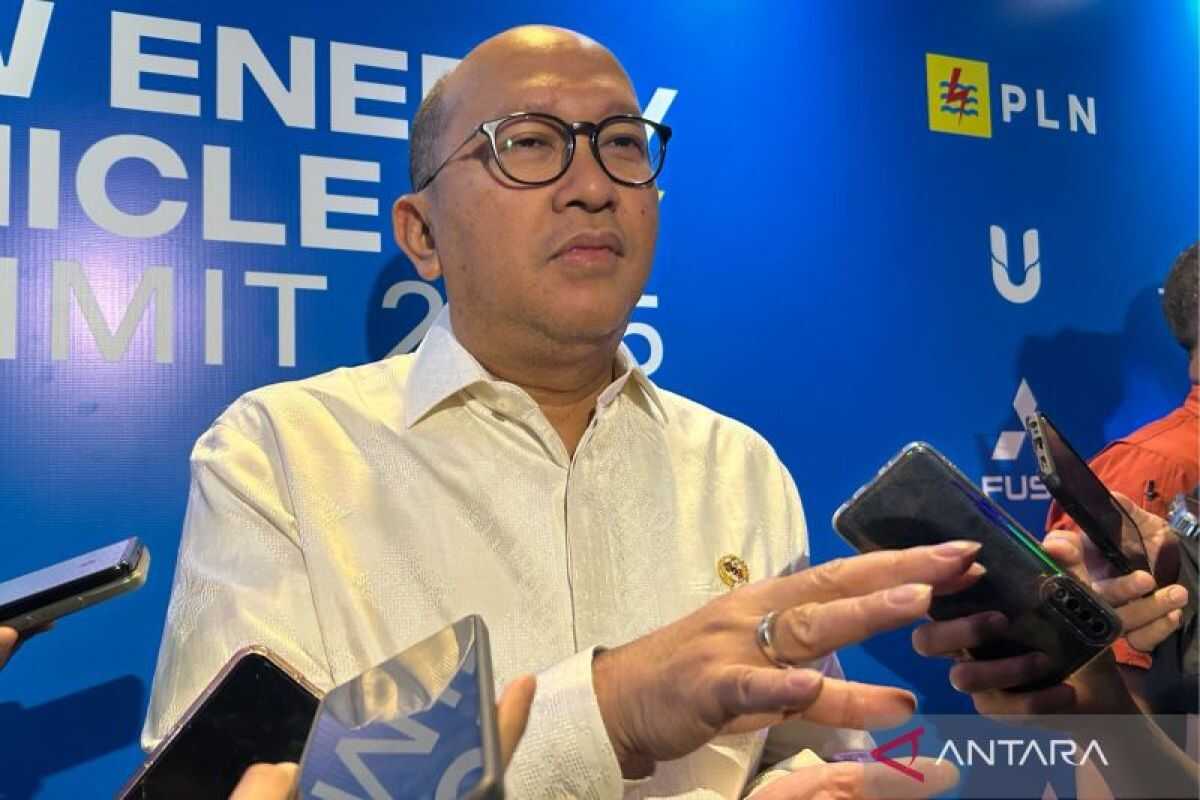 Clean Energy Investment a Priority for Achieving 8 Per Cent Growth by 2029, Says Investment Minister