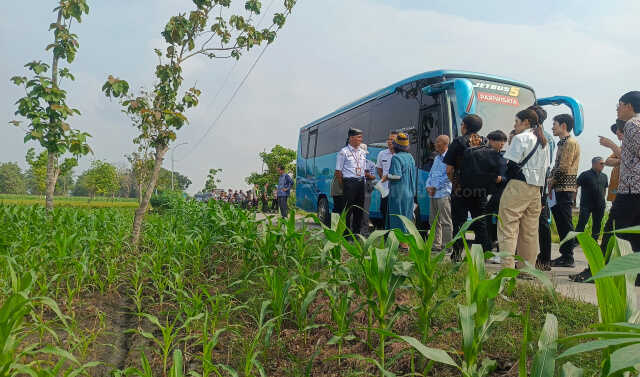 Japan's JICA and Indonesian Investment Ministry Survey Bioethanol Plant Site in Bojonegoro