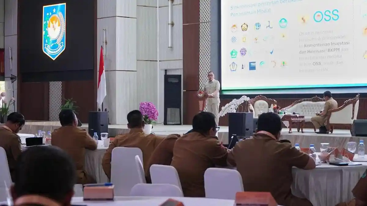 Deputy Investment Minister Introduces Fictive Positive Principle for Business Licensing System