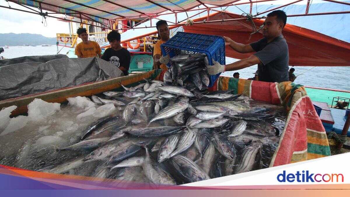 Ministry of Marine Affairs Strengthens Investment Promotion in Fisheries Sector