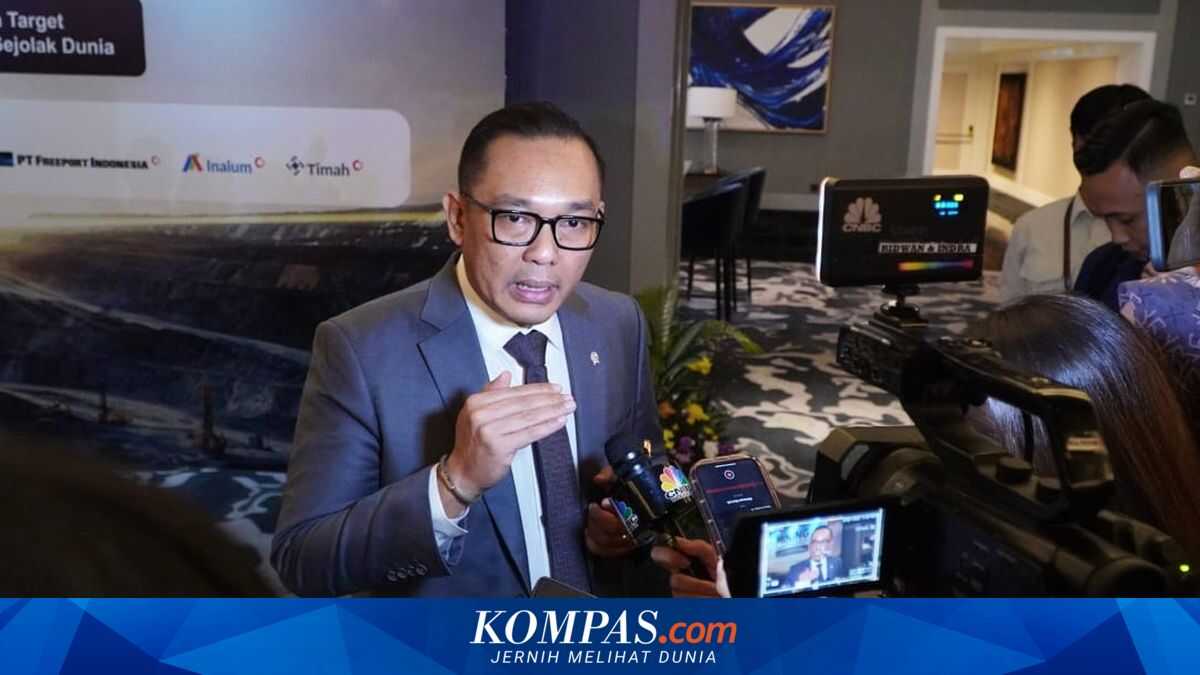 US Reciprocal Tariff Reduction Shows Indonesia's Strategic Position, Says Deputy Investment Minister