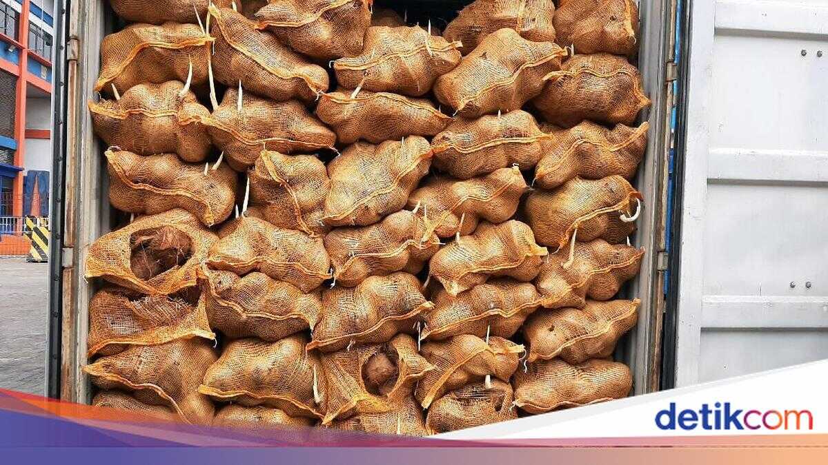 China Invests US$100 Million Per Project in Coconut Processing Facilities in Indonesia