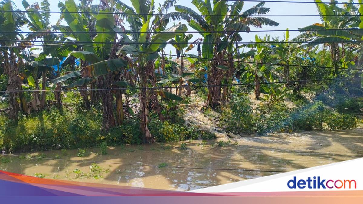 34 Villages in Grobogan, Central Java Hit by Flooding; 5,214 Families Affected