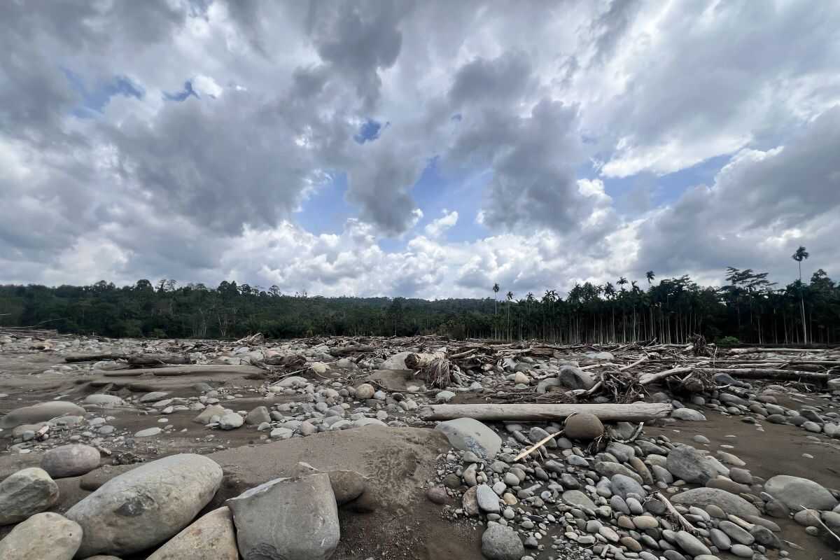 Mahdi Who Longs for His Father's House