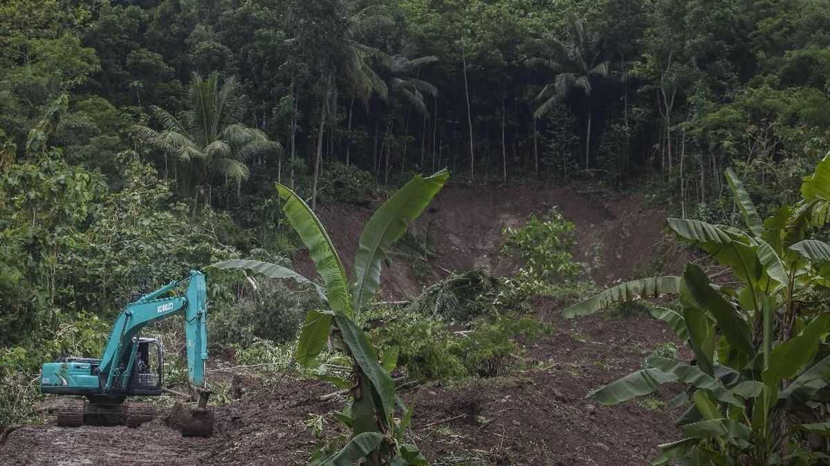 Landslides Strike 59 Locations in Yogyakarta Amid Extreme Weather