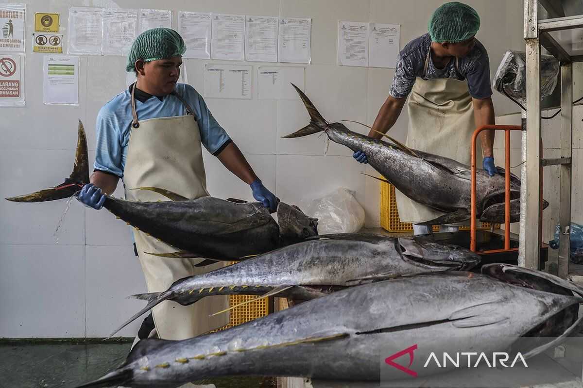 Indonesia targets stronger seafood exports with 2026 strategy