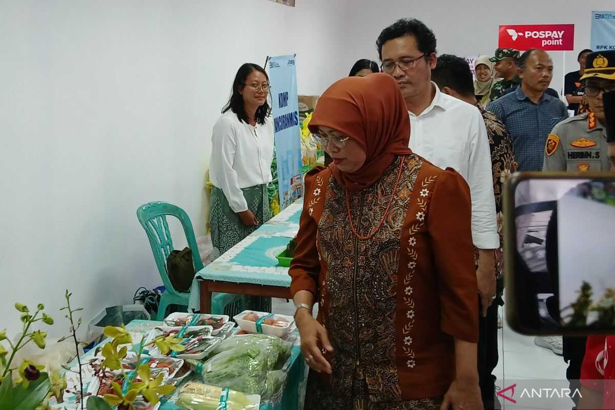 Minister's Special Staff: Red and White Village Cooperatives Will Not Kill Off Small Shops