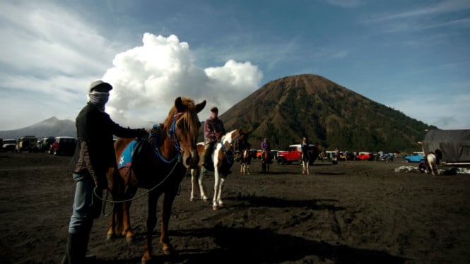 Seven Suitcases Belonging to Thai Tourists Stolen at Bromo, Police Form Special Team