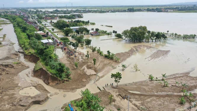 1,842 Hectares of Rice Paddies Submerged by Flooding in Grobogan, Farmers Face Crop Failure