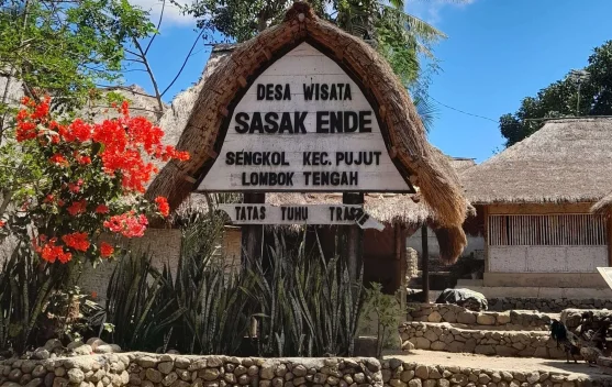 Foreign Investment Boosts Tourism in Central Lombok