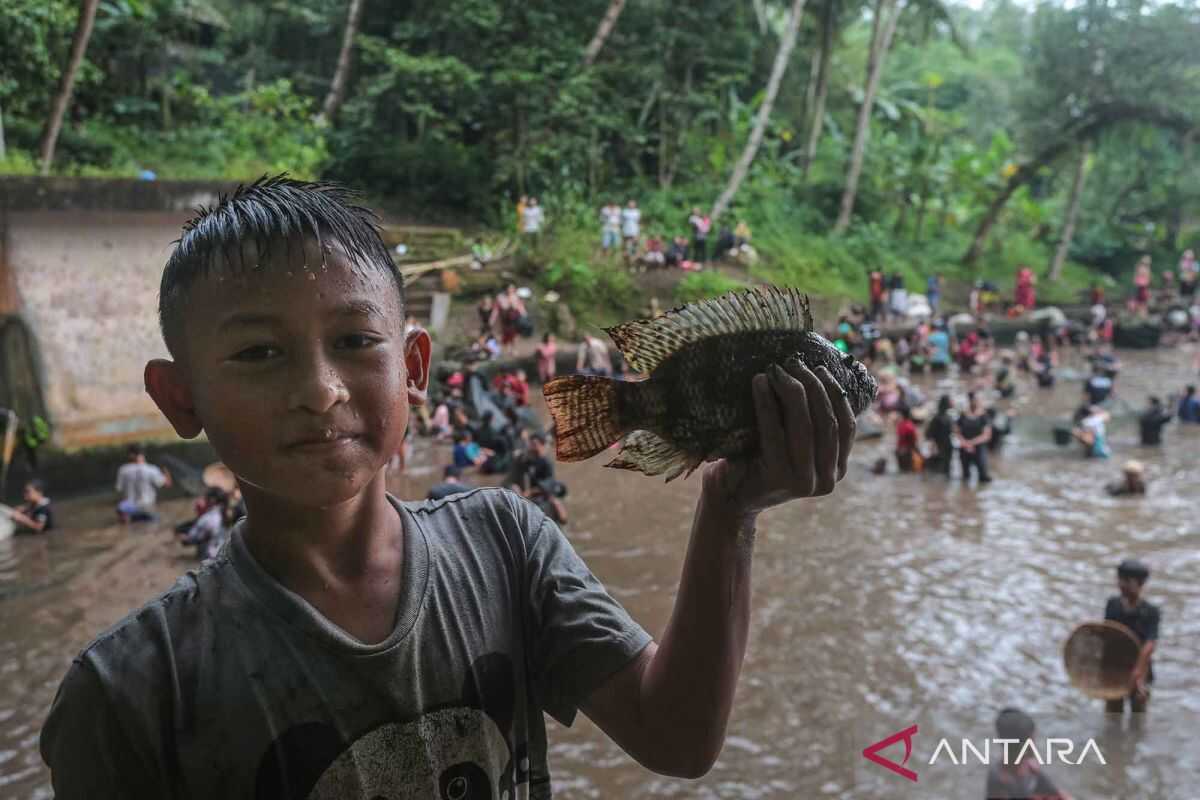 Fish-catching tradition in Banten serves as community gathering ahead of Ramadan