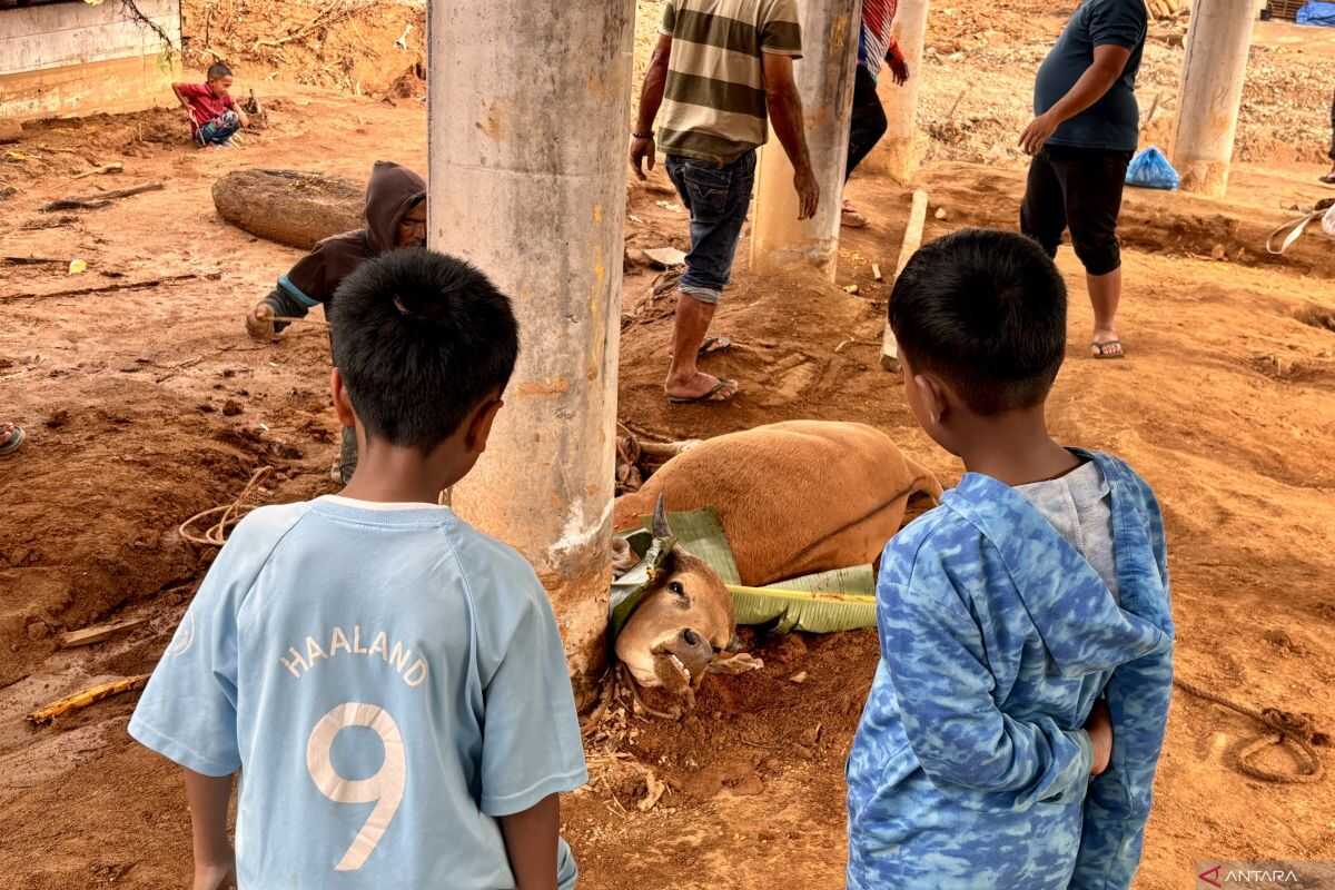 Preserving the Meugang Tradition in the Aftermath of Disaster