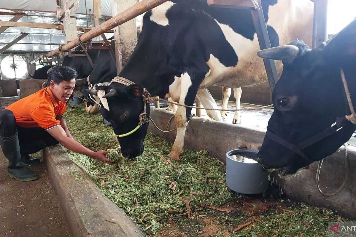 Indonesia-Denmark Collaborate to Strengthen Animal Feed Quality and Safety Assurance