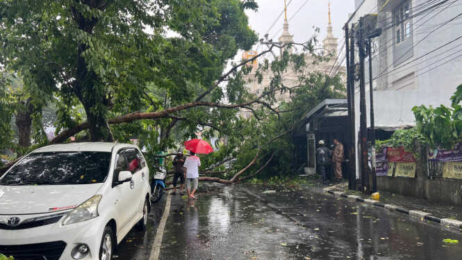 Extreme Weather Strikes Semarang: Dozens of Trees Felled, One Person Killed
