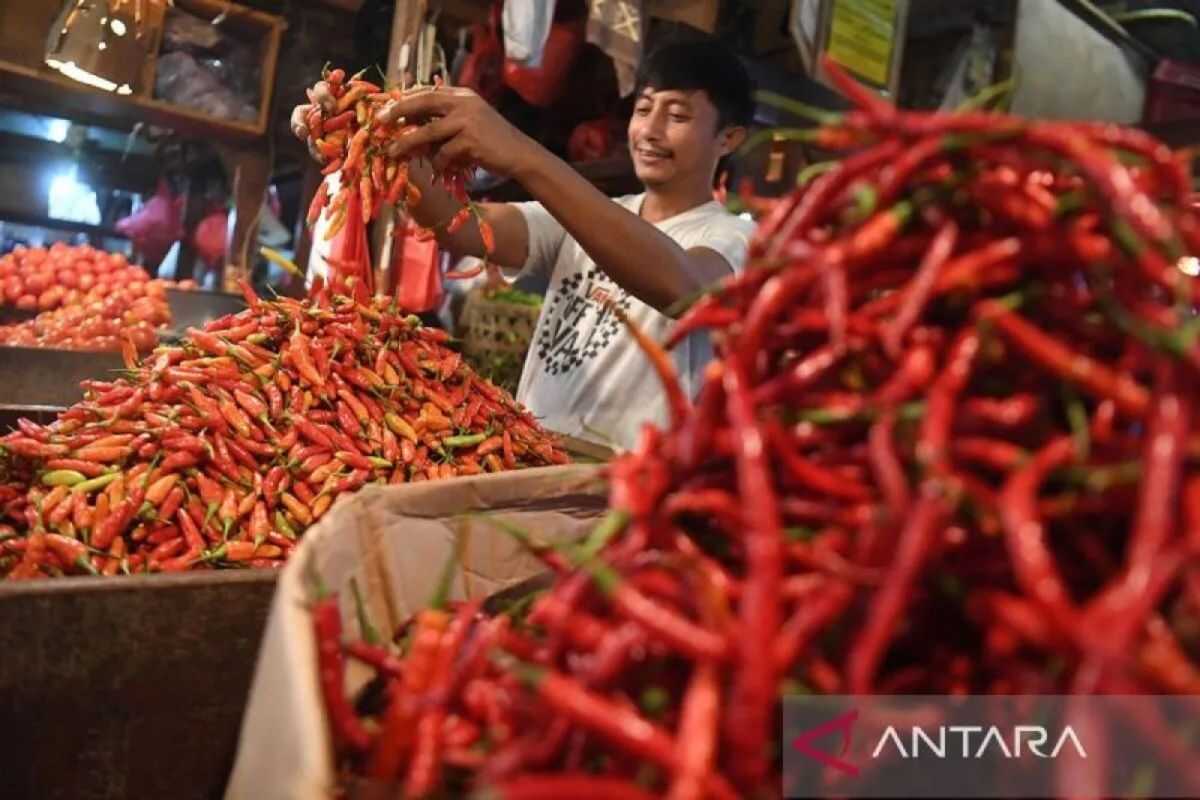 Indef assesses chilli price increases ahead of Ramadan as seasonal inflation