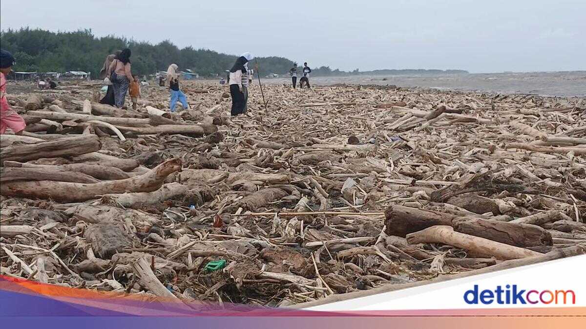 Government Investigates Alleged Deforestation Behind Guci Tegal Flash Floods