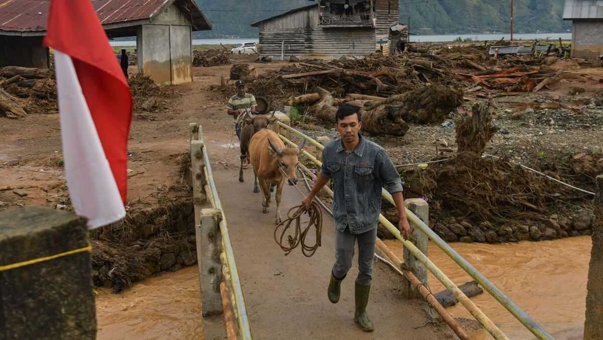 Prabowo Donates 1,455 Cattle to Flood-Affected Residents in Aceh