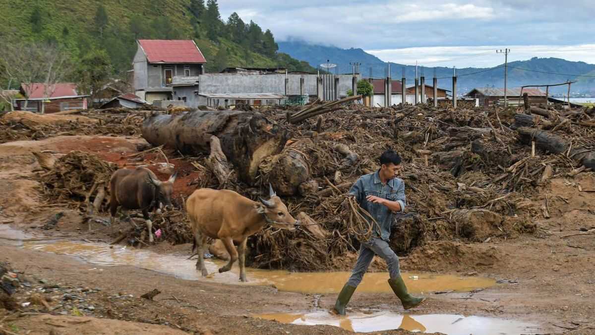 Following Prabowo's Lead, Police College Students Send 70 Cattle to Aceh Flood Victims