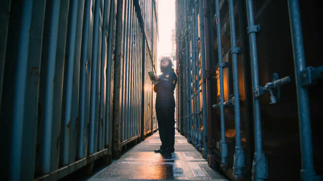 New Regulation Deemed at Risk of Opening Loopholes for Illegal Products