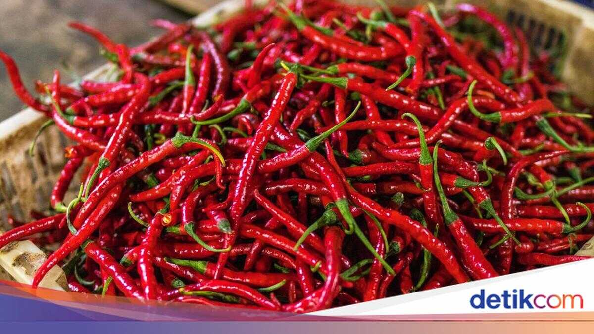Pramono Prepares Strategy to Tackle Rising Chilli Prices in Jakarta
