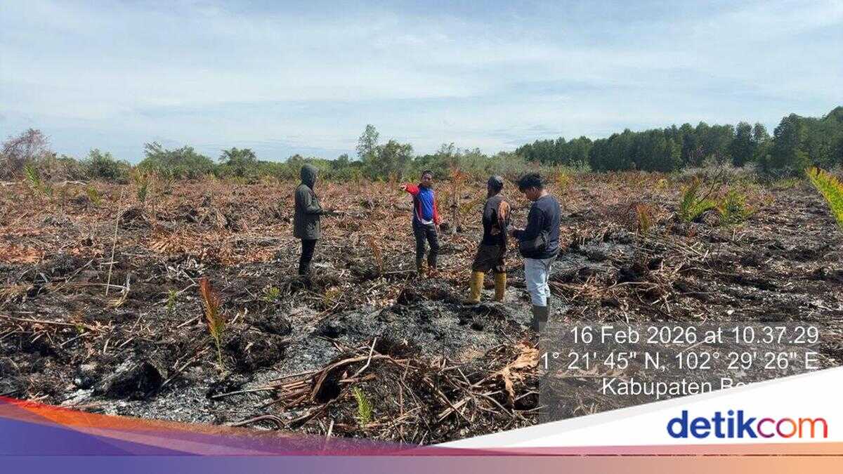 Land Arsonist Arrested in Bengkalis, Riau — Claims He Was Burning a Wasp Nest