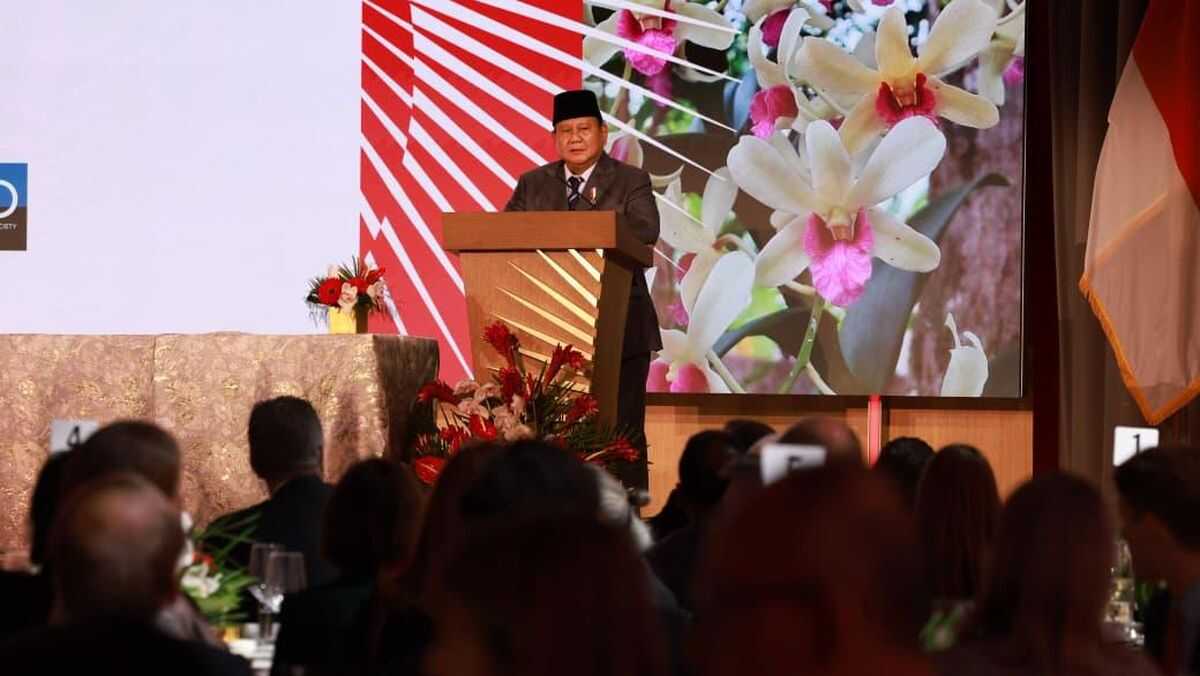 Prabowo Recounts Frequently Receiving Messages from Village Children via TikTok