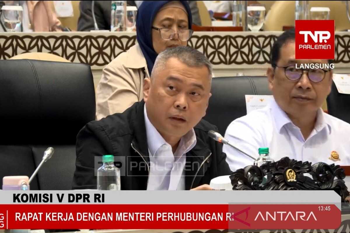 Ministry temporarily closes 11 Papua pioneer airports after shooting