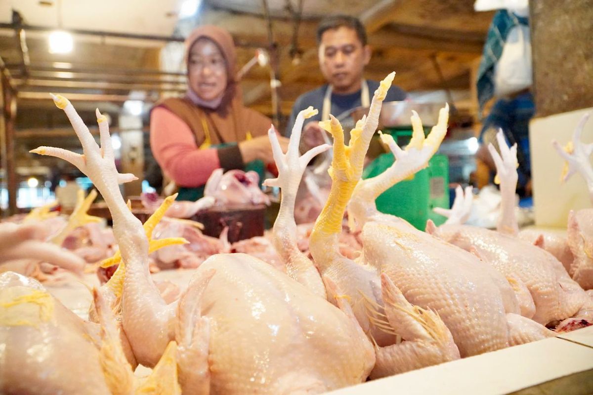 National Food Agency confirms stable chicken and chilli prices at Cileungsi Market