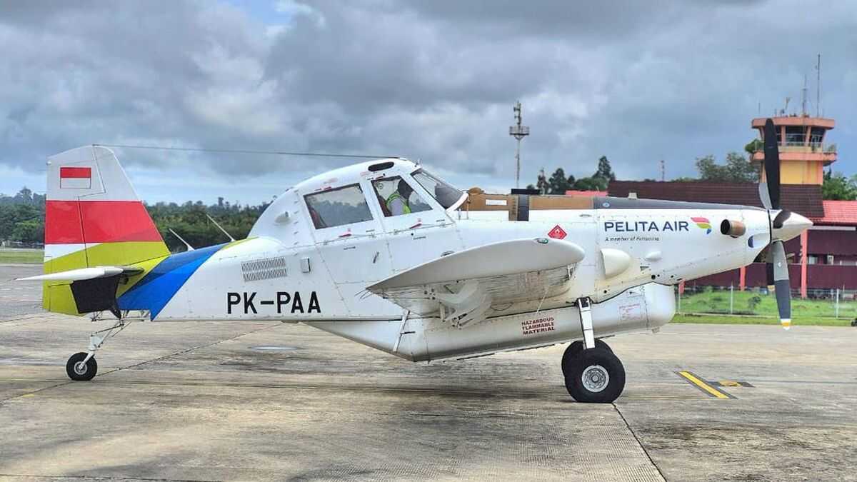 Pilot of Pelita Air Aircraft That Crashed in Krayan, Kalimantan Reported Safe