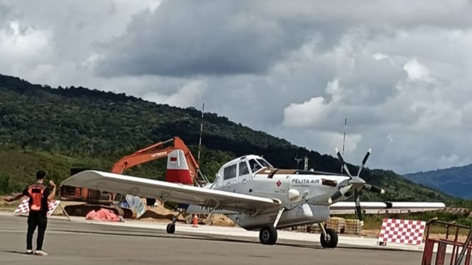 Pilot of Pelita Air Charter Plane That Crashed in Nunukan Confirmed Dead; Transport Ministry Reveals Timeline