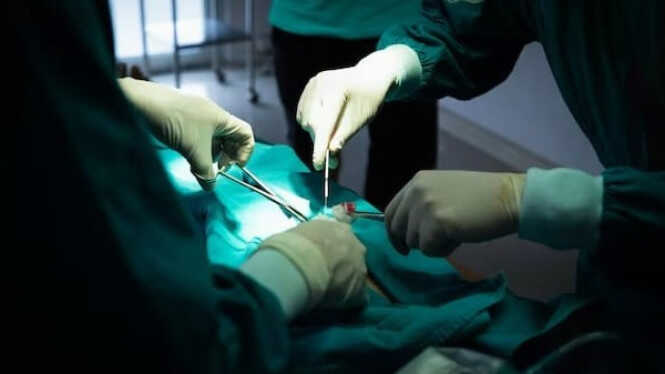 Healthcare Innovation Advances: How Surgical Operations Have Changed From Past to Present