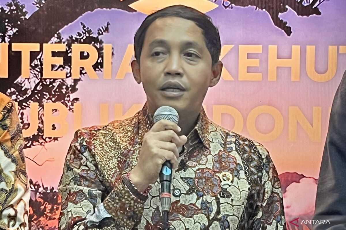 Indonesia earmarks 1.1 million hectares of plantation land for food self-reliance