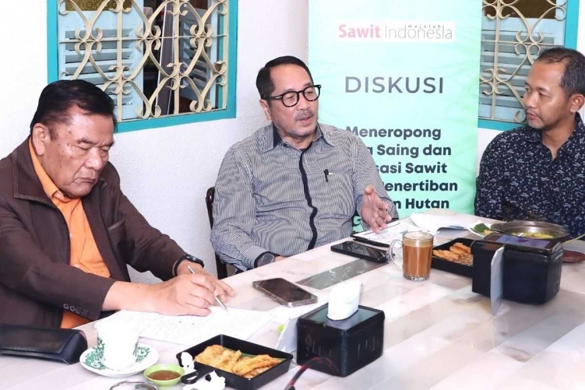 Legislator demands legal certainty for palm oil operators following forest area enforcement