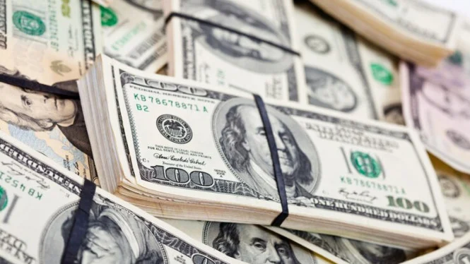 Staggering! This Woman's Donations Reach US$26 Billion, Surpassing Elon Musk and Jeff Bezos's Lifetime Giving