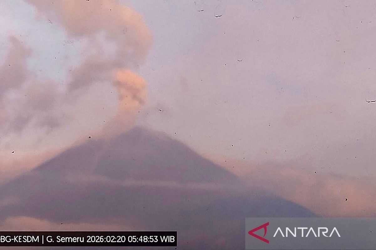 Mount Semeru erupts seven times with plume heights reaching 1 kilometre