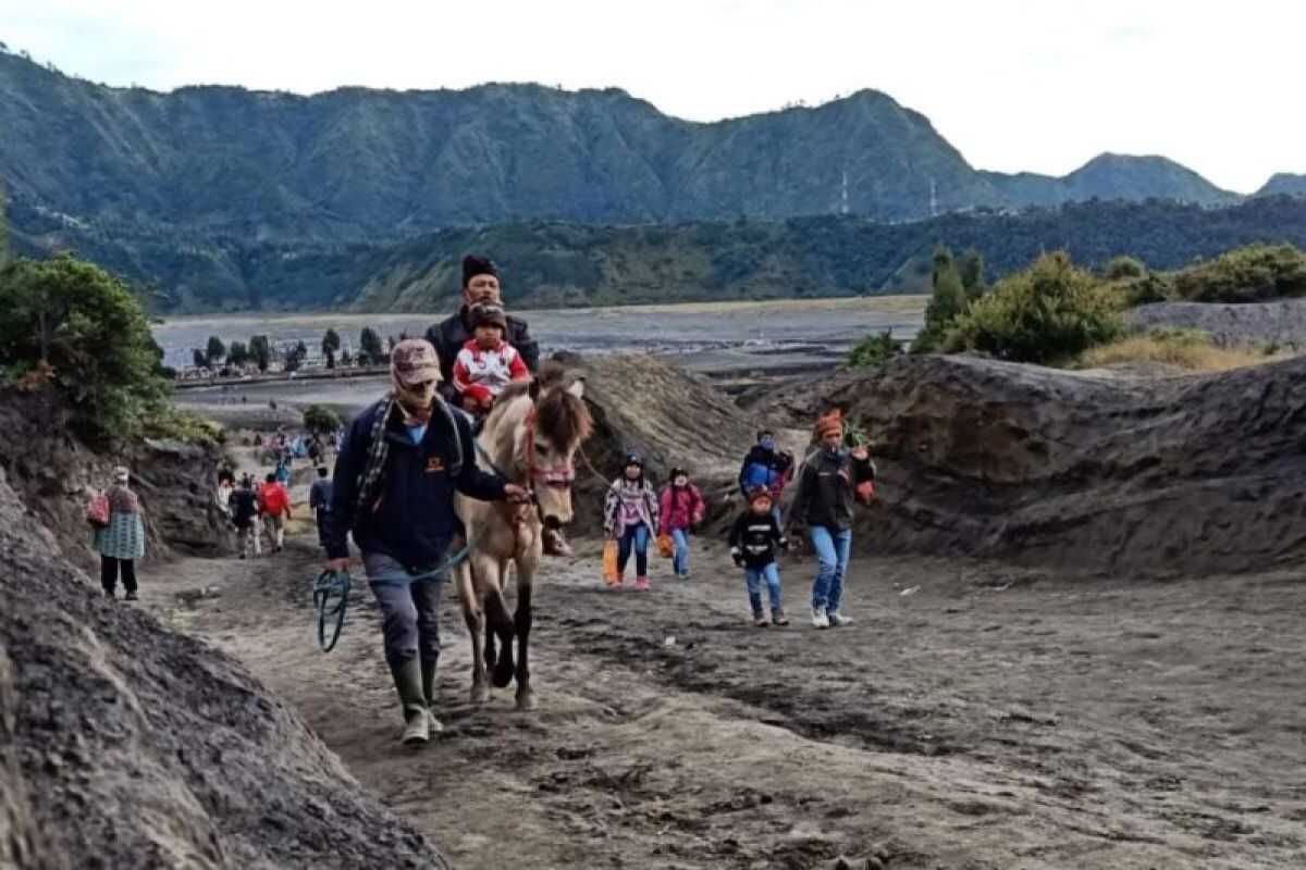 Probolinggo Police Hunt Thieves Who Stole Thai Tourists' Suitcases at Bromo