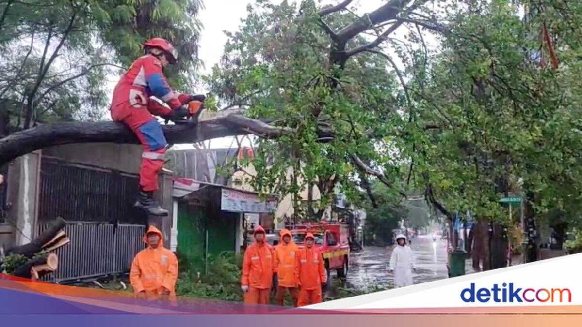 Heavy Rain Causes Fallen Tree to Block Road Access in Lagoa, North Jakarta
